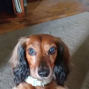 Meet your Posher, Rick